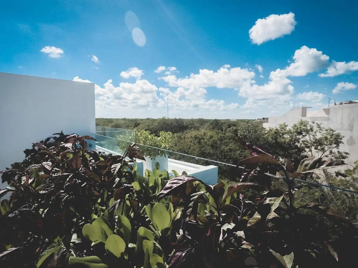 Brand New Two Br Penthouse With A Private Roof Patio! Totally Equipped. Tulum Mexico